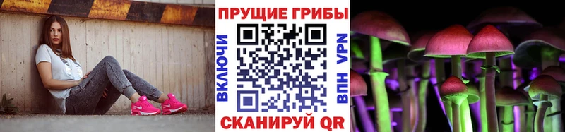 Псилоцибиновые грибы Psilocybine cubensis  наркошоп  Калачинск 
